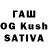 Галлюциногенные грибы GOLDEN TEACHER Dan Abneet