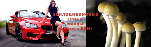 твердый Богданович
