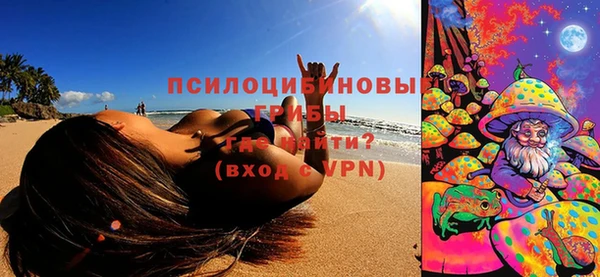гашик Бронницы