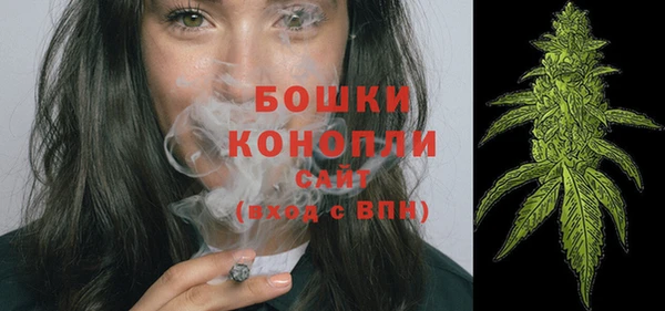 экстази Бородино