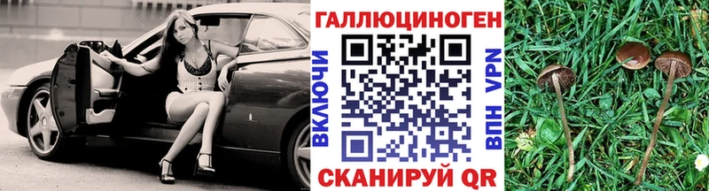 Галлюциногенные грибы GOLDEN TEACHER  купить наркотик  Саранск 